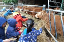 Schriftzug Erlebnis Bauernhof - Lernprogramme für Grund- und Förderschulen