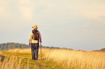 Mann mit Rucksack und Wanderstock geht an Feld entlang