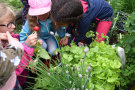 Kinder beugen sich über Pflanzkisten mit Schnittlauch, Kräutern, Salat und Radieschen