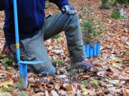 Person im Wald mit Pflanzwerkzeug