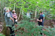 mehrere Menschen im Wald schauen nach oben