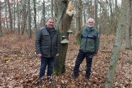 Zwei Männer mit Biotopbaum mit Zunderpilz 