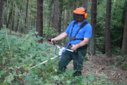 Waldarbeiter arbeitet mit Freischneider