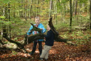 Kinder im Wald