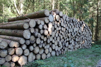 Holzstoss1