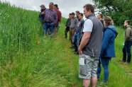 Menschengruppe vor Dinkelfeld