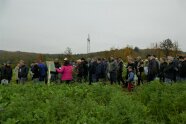 Menschengruppe vor Feld mit Zwischenfrüchten mit Eva Heilmeier