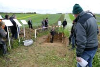 Mann steht im freigestellten Bodenprofil und erläutert Anwesenden den Aufbau 