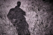 Schatten einer Person in der Nacht auf Wiese